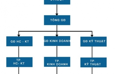 Cơ cấu tổ chức